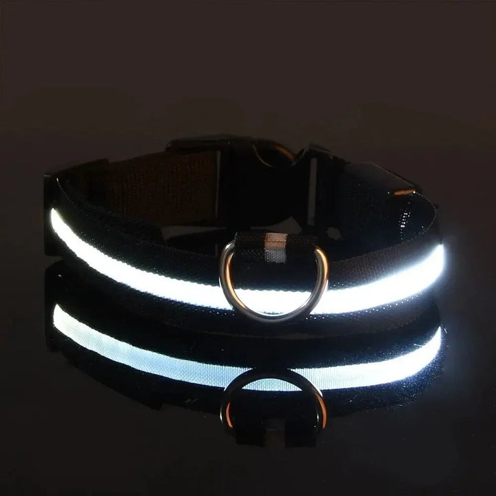 LED Safety Dog Collar with Adjustable Fit