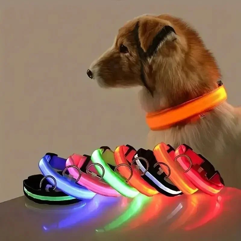 LED Safety Dog Collar with Adjustable Fit