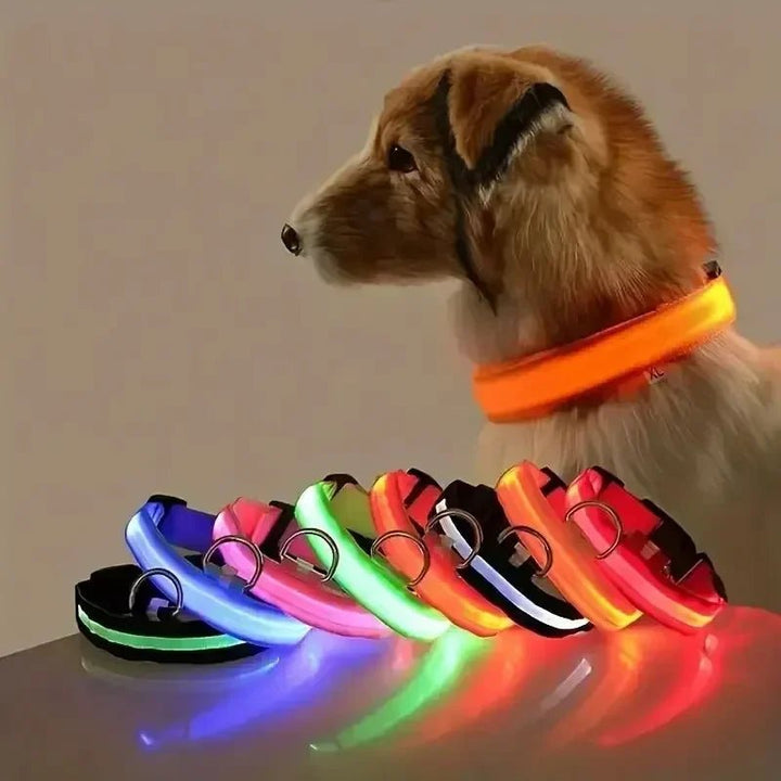 LED Safety Dog Collar with Adjustable Fit