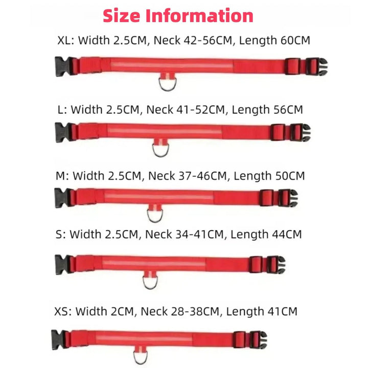 LED Safety Dog Collar with Adjustable Fit