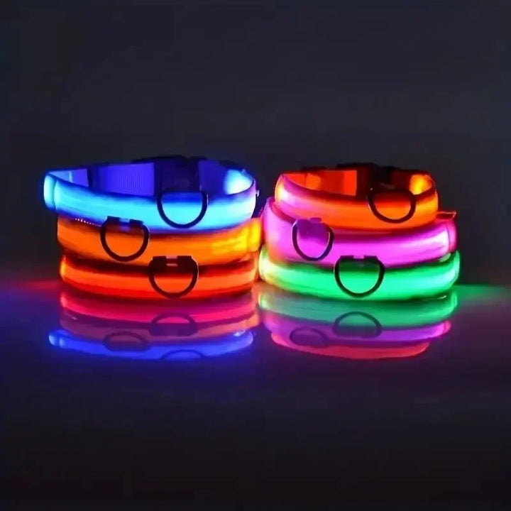 LED Safety Dog Collar with Adjustable Fit