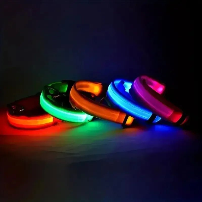 LED Safety Dog Collar with Adjustable Fit