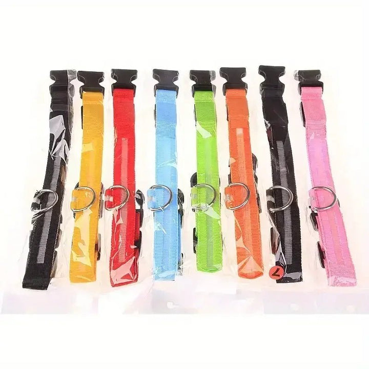 LED Safety Dog Collar with Adjustable Fit