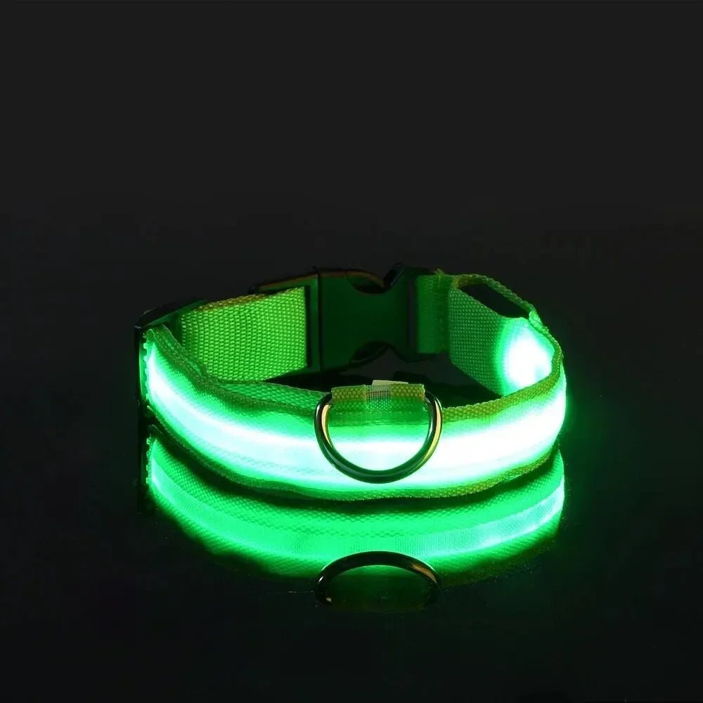LED Safety Dog Collar with Adjustable Fit