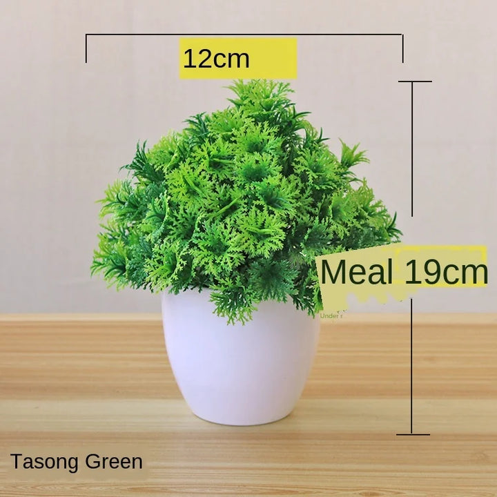 Small Tree Pot Bonsai Plants