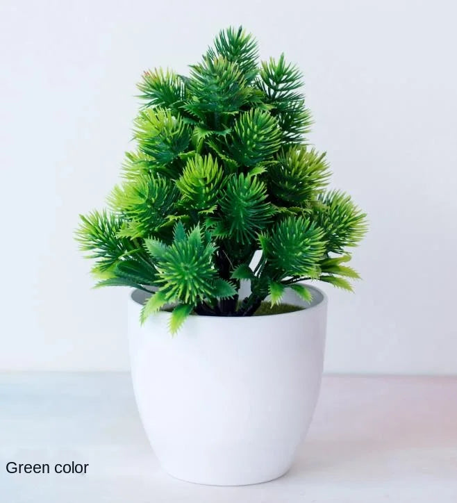 Small Tree Pot Bonsai Plants
