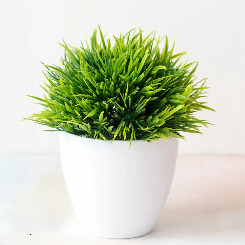 Small Tree Pot Bonsai Plants