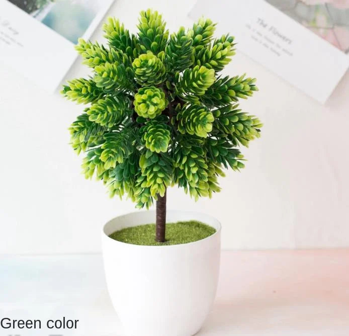 Small Tree Pot Bonsai Plants
