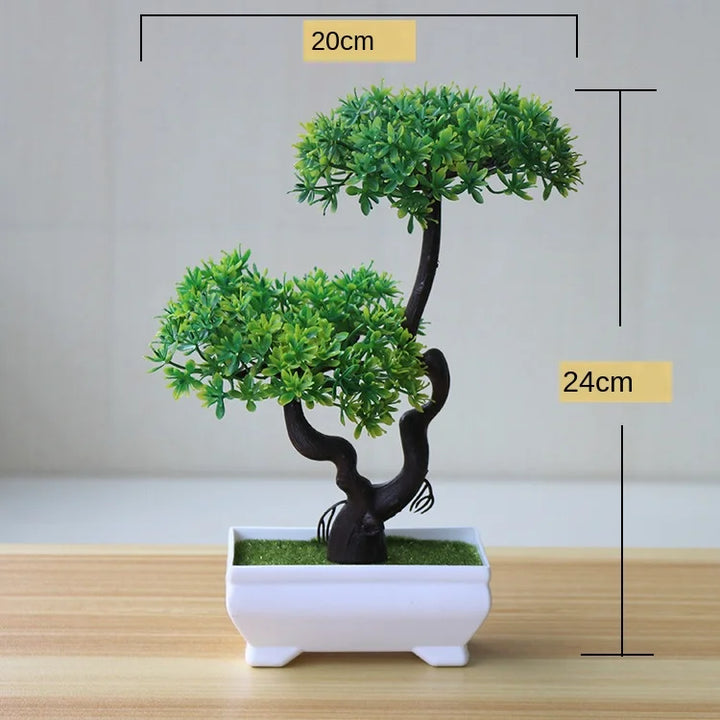 Small Tree Pot Bonsai Plants