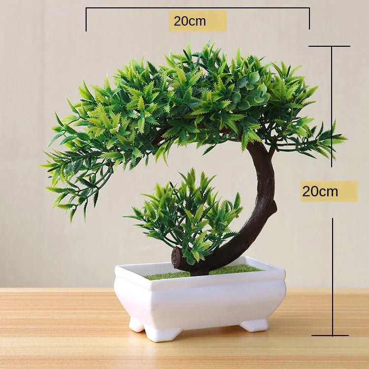 Small Tree Pot Bonsai Plants