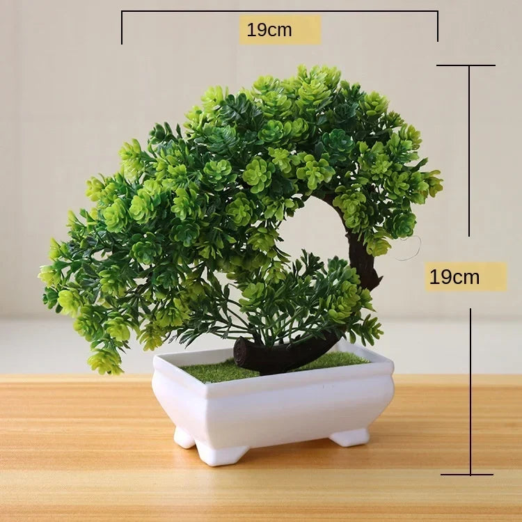 Small Tree Pot Bonsai Plants