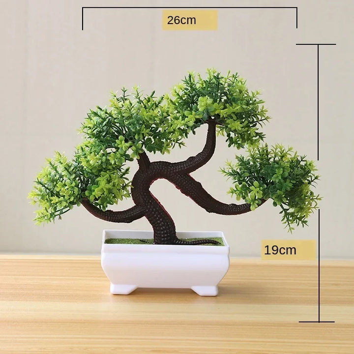 Small Tree Pot Bonsai Plants