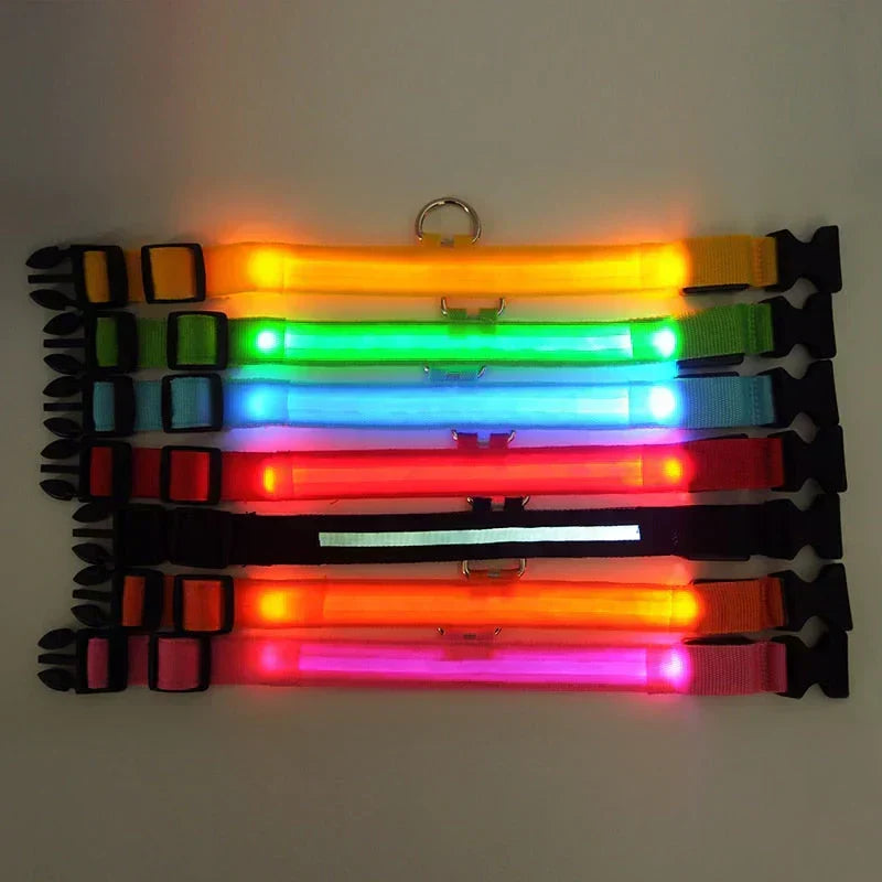 GlowPets LED Collar – Safety &amp; Visibility for Pets