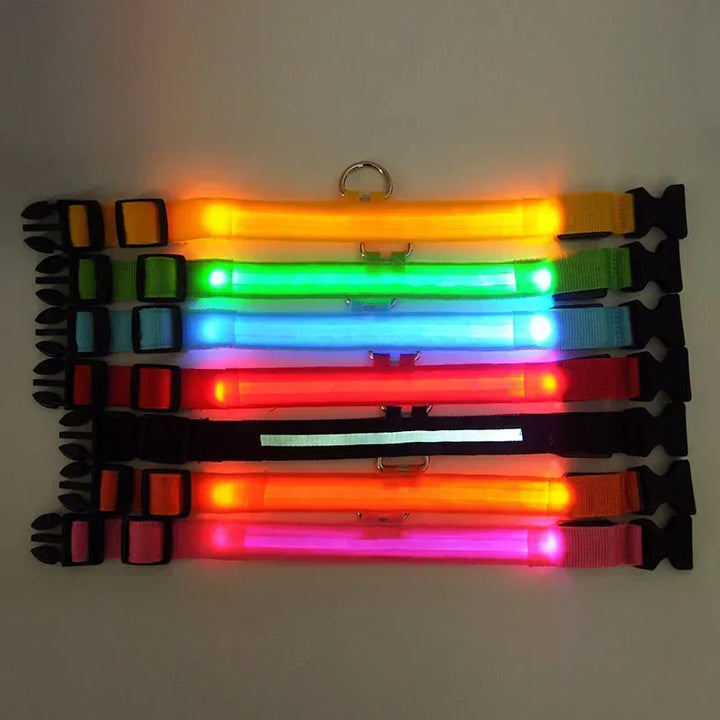 GlowPets LED Collar – Safety &amp; Visibility for Pets