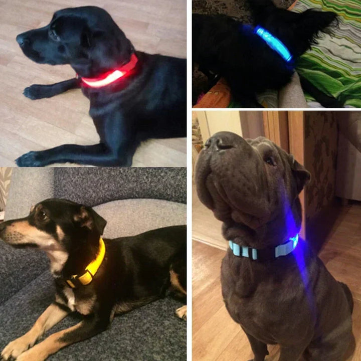 GlowPets LED Collar – Safety &amp; Visibility for Pets