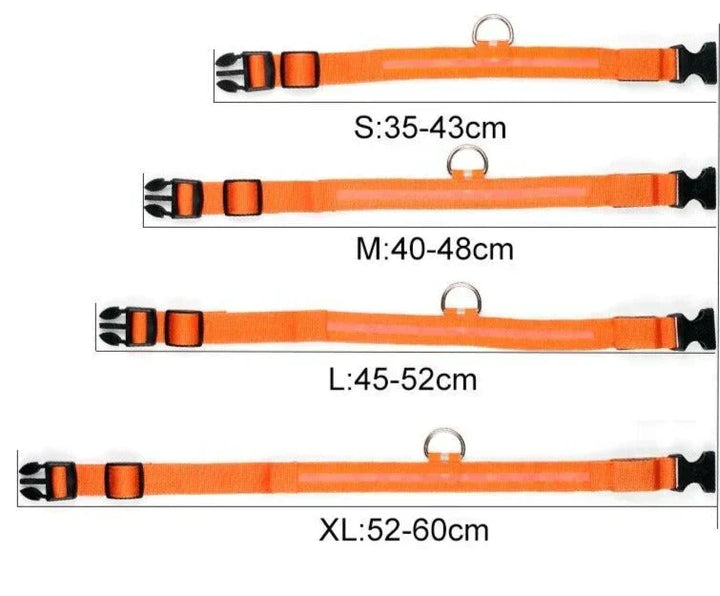 GlowPets LED Collar – Safety &amp; Visibility for Pets