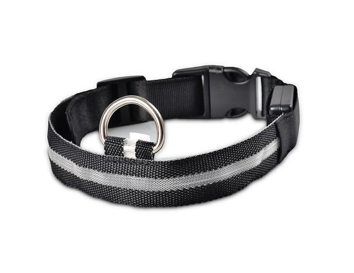 GlowPets LED Collar – Safety &amp; Visibility for Pets