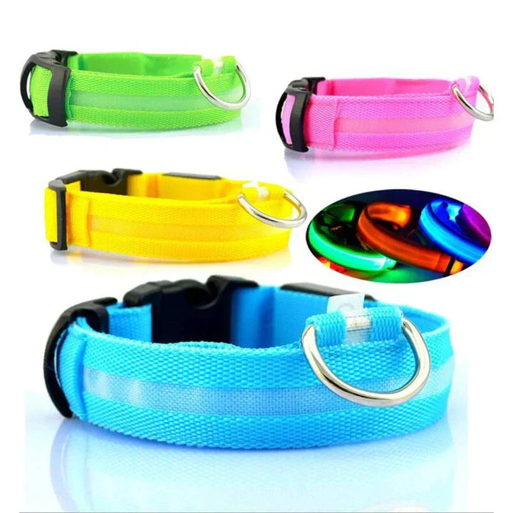 GlowPets LED Collar – Safety &amp; Visibility for Pets