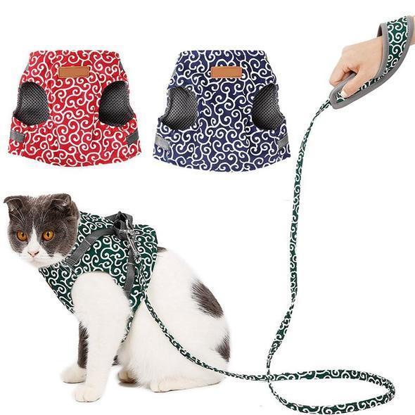 Collar jacket and leash for cat |