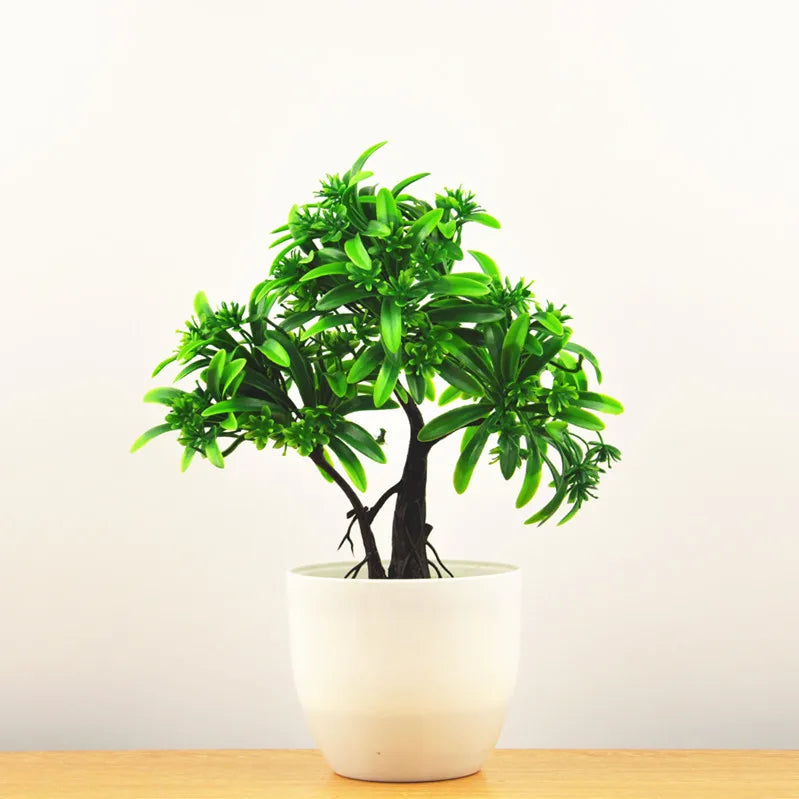 Small Tree Pot Bonsai Plants