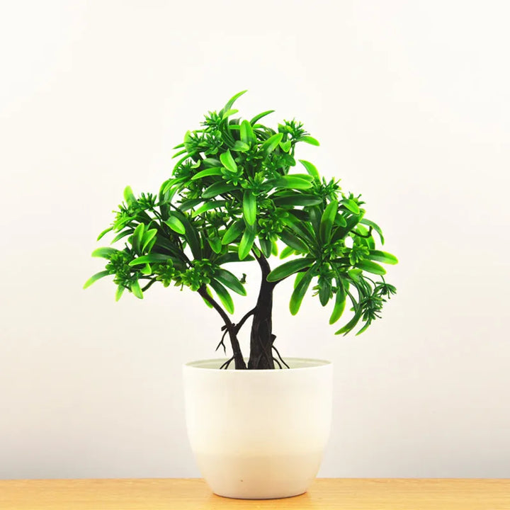 Small Tree Pot Bonsai Plants