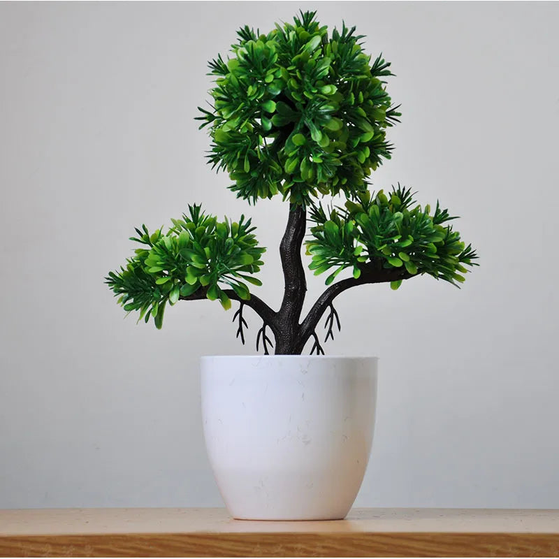 Small Tree Pot Bonsai Plants
