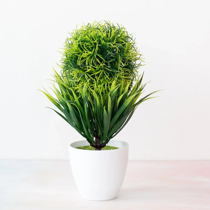 Small Tree Pot Bonsai Plants