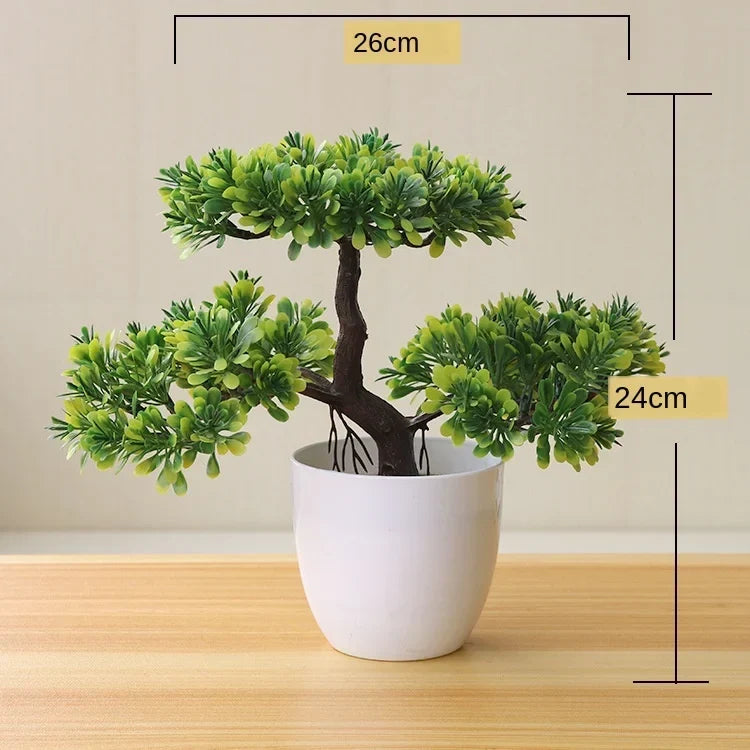Small Tree Pot Bonsai Plants