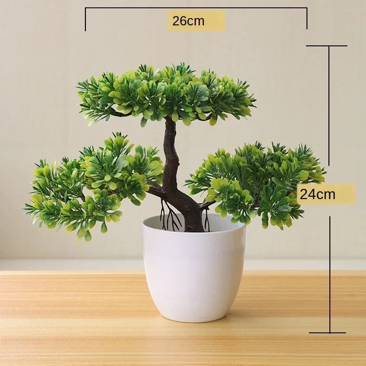 Small Tree Pot Bonsai Plants