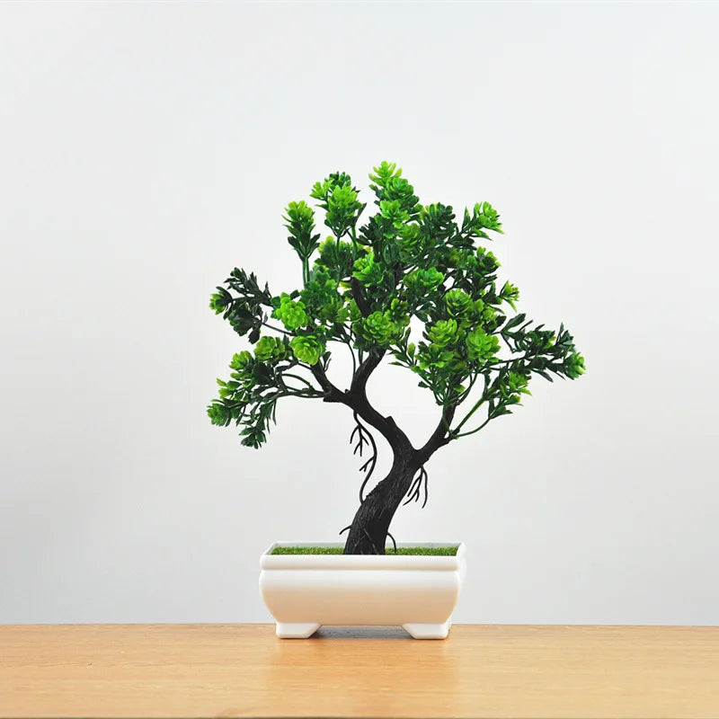 Small Tree Pot Bonsai Plants