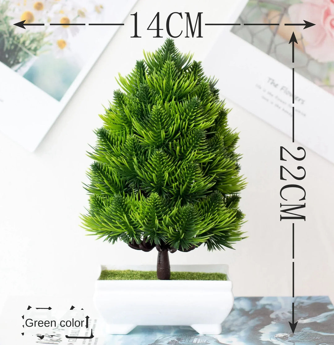 Small Tree Pot Bonsai Plants