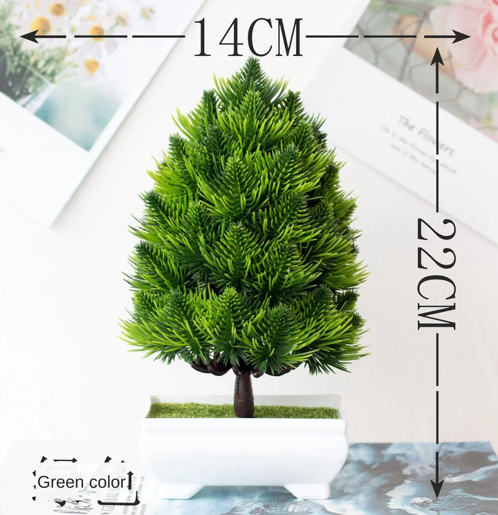 Small Tree Pot Bonsai Plants