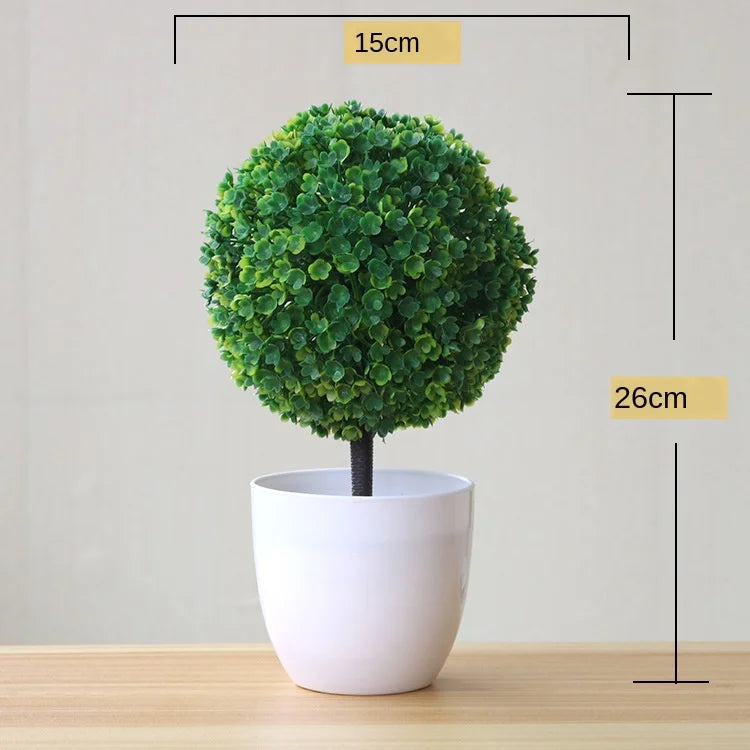 Small Tree Pot Bonsai Plants