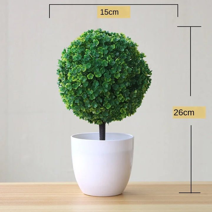 Small Tree Pot Bonsai Plants