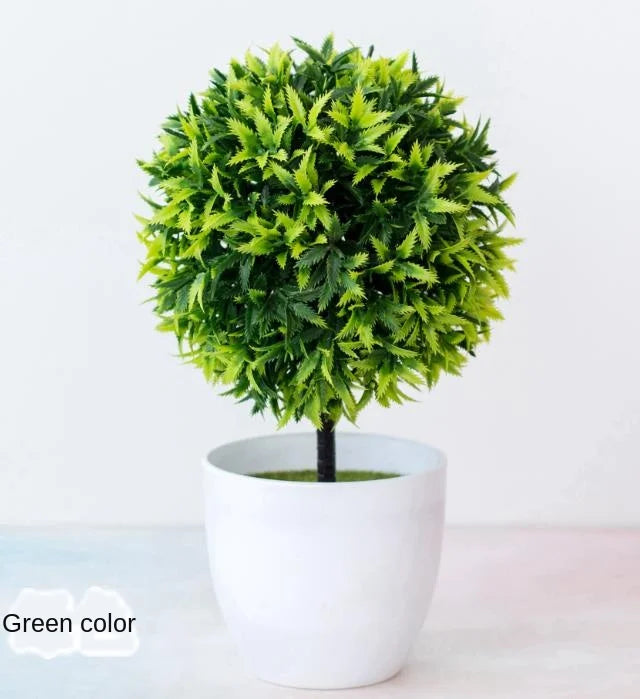 Small Tree Pot Bonsai Plants