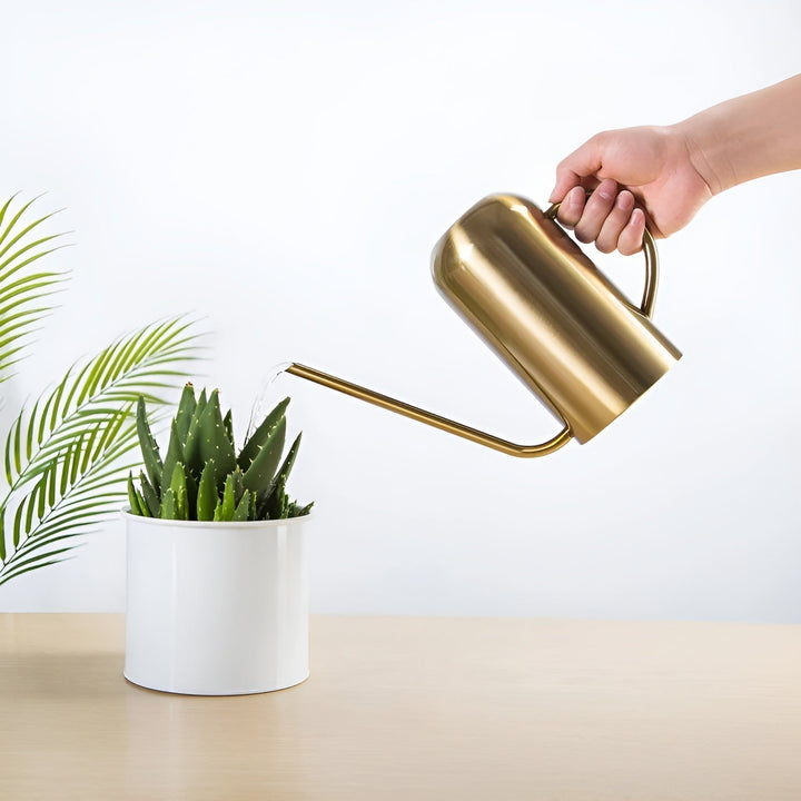 Stainless Steel Pourer - 1.5L Long Watering Can for Plants and Flowers