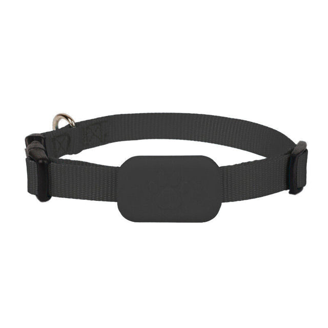 AnimalTracker Mini – Smart Dog and Cat Bluetooth Collar Tracker