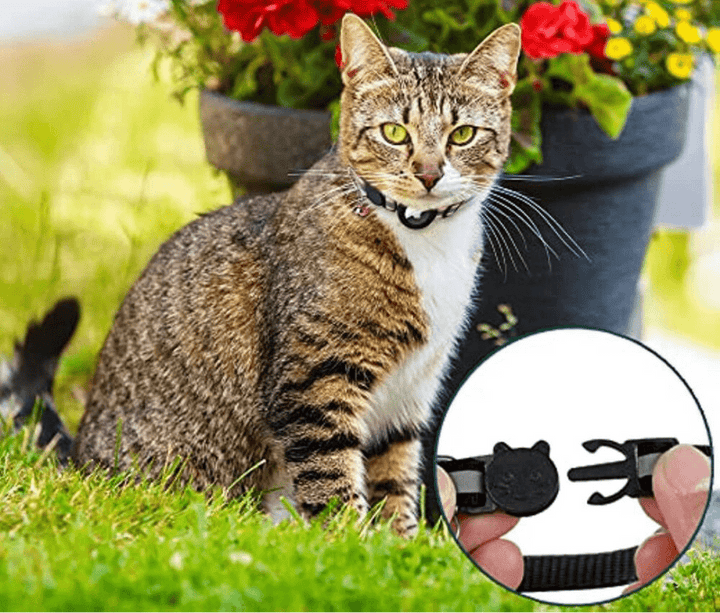 GPS Collar for Cats with Reflective Design