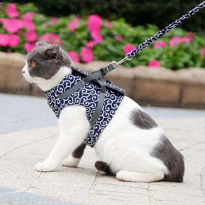 Cat harness vest for safety &amp; comfort