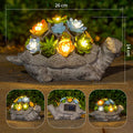 Solar Powered Succulent Turtle Garden Planter Night Light Ornament