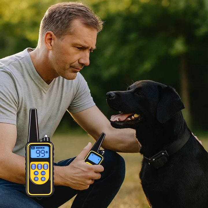 Waterproof Dog Training Collar with Remote Control and 3 Modes