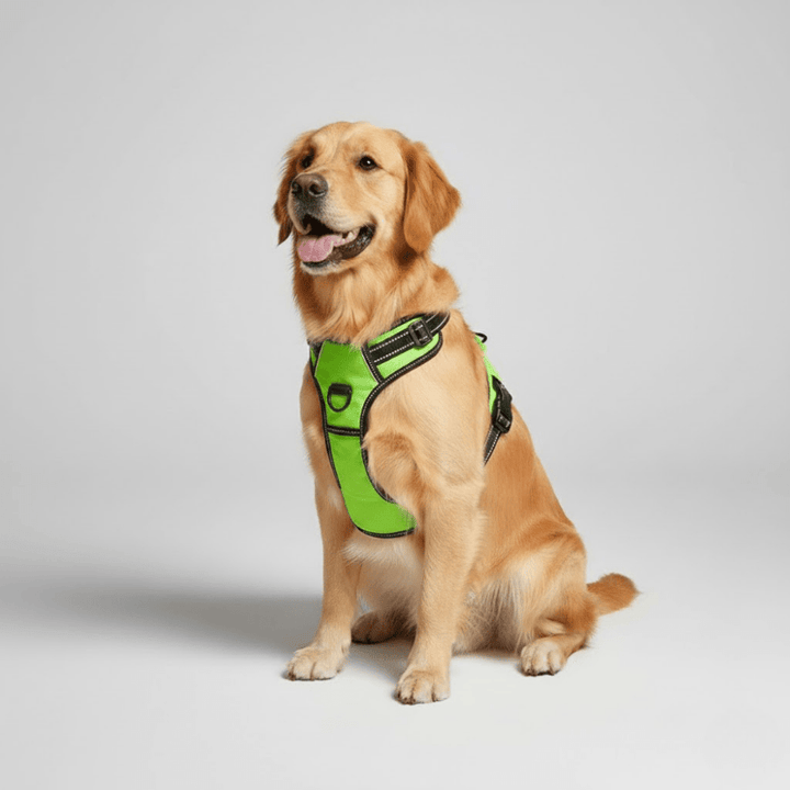Reflective, breathable dog harness for small and large dogs
