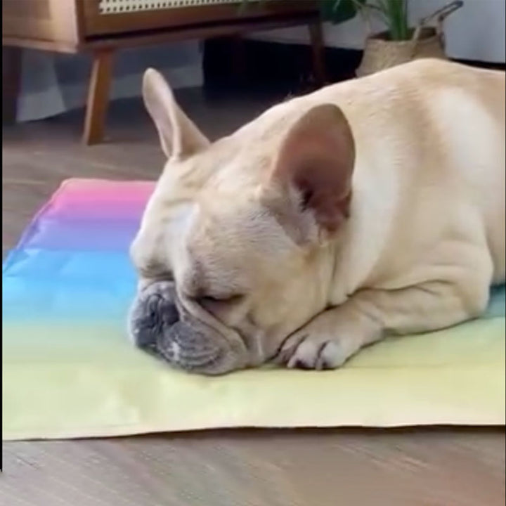 IcePup Frenchie Summer Cooling Mat with Advanced Ice Tech |