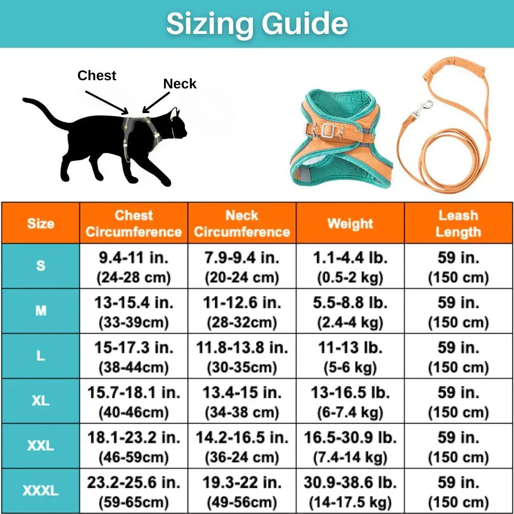 Cat Harness – Safe and Comfortable for Outdoor Adventures