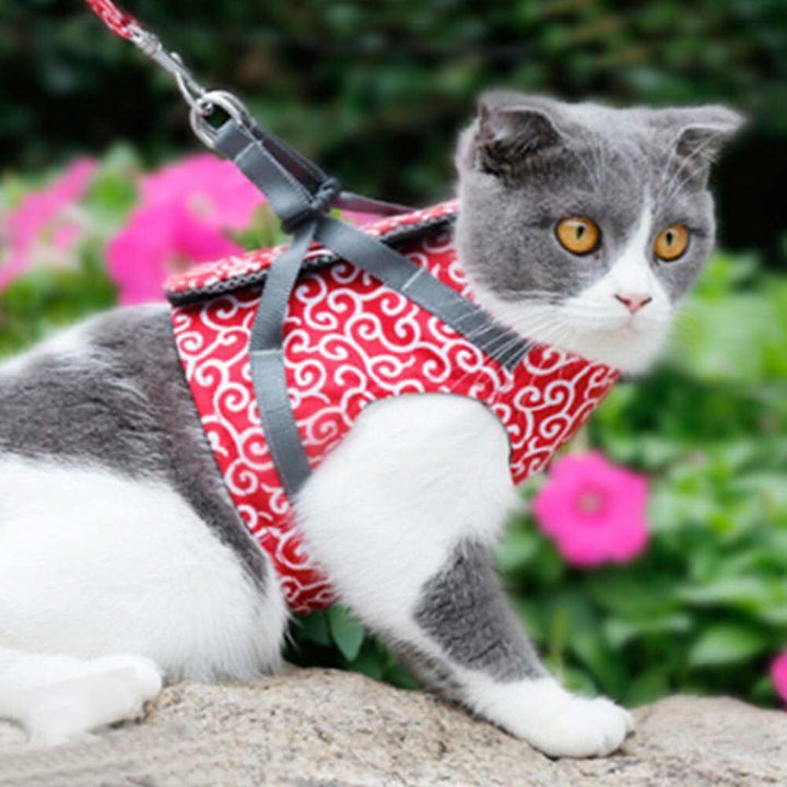 Cat Harness Vest for Safety &amp; Comfort