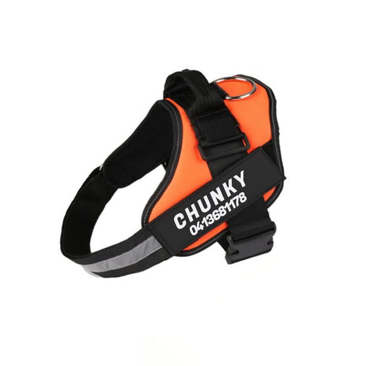 Personalisable dog harness for comfort &amp; safety