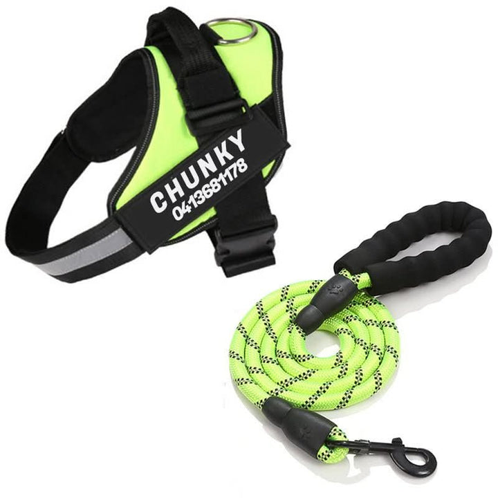 Personalisable dog harness for comfort &amp; safety