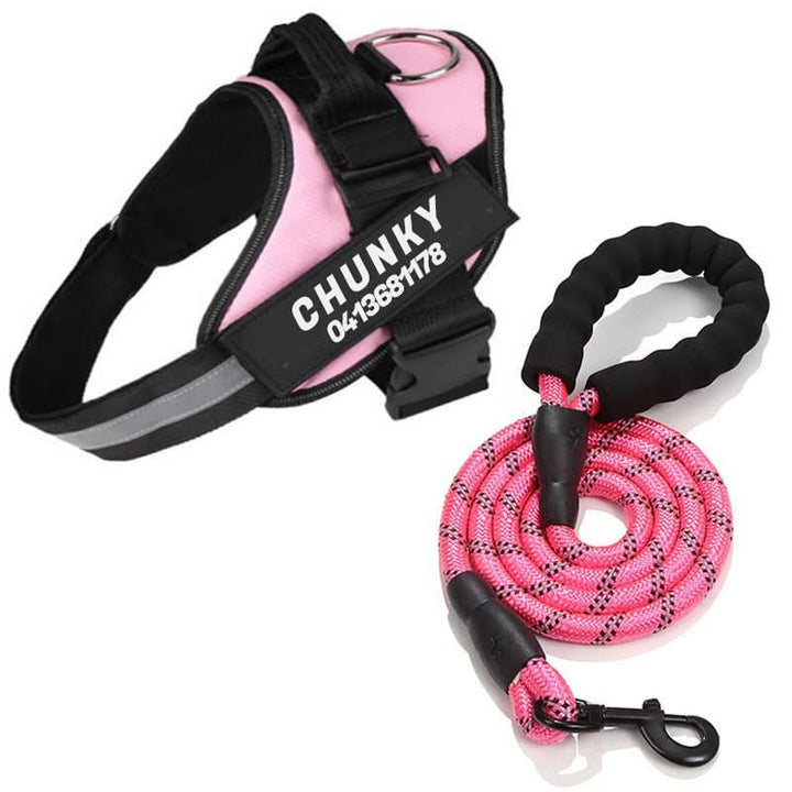 Personalisable dog harness for comfort &amp; safety