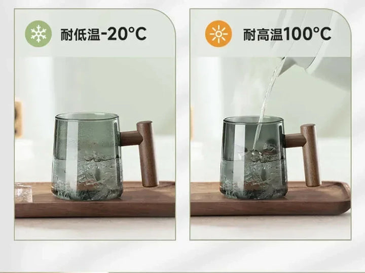 Ultramodern Glass Tea Cup with Filter and Lid