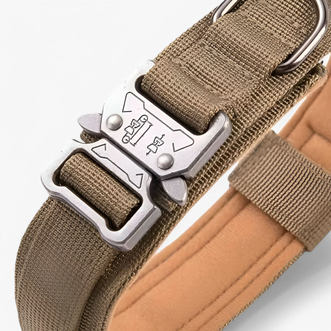OutdoorHeld Dog Collar – For active dogs with endurance
